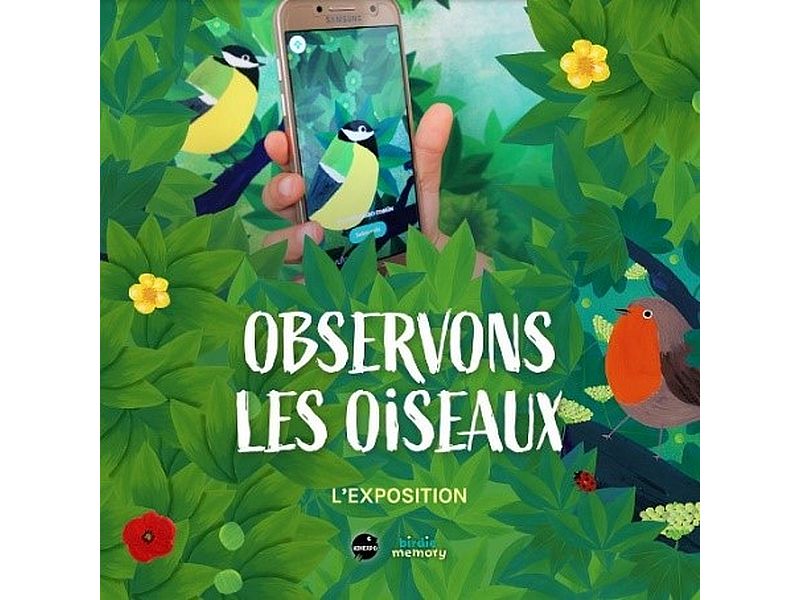 affiche expo observons les oiseaux